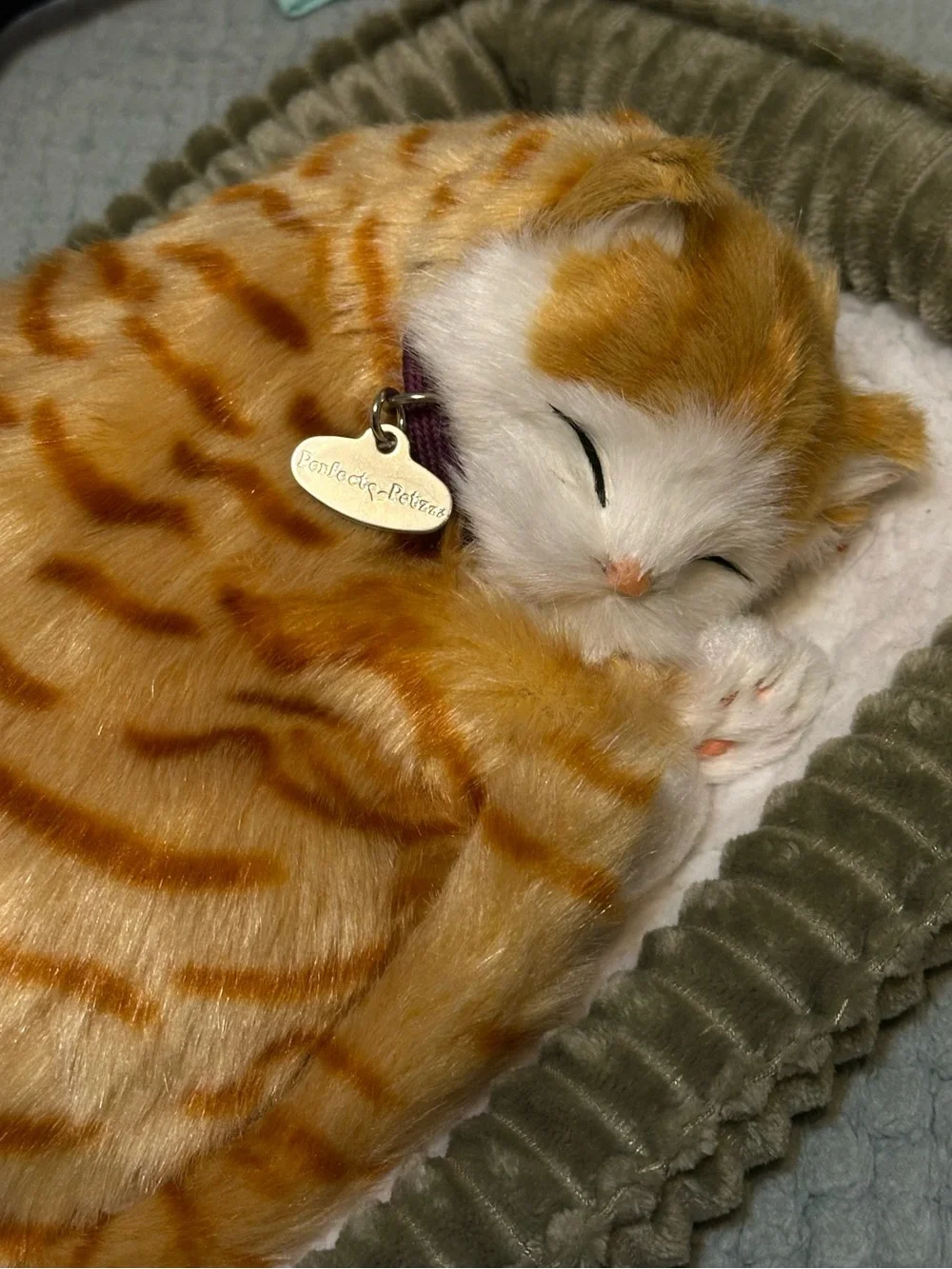 Perfect petzzz Plush Orange Tabby Cat Bed Toy with Collar